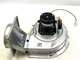 Goodman Amana Y3L248B01 0131M00002P Furnace Draft Inducer Motor used #MA513