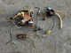 Trane CNT05164 White Rodgers 50A65-475 Control Board, Igniter,rollout & Switch