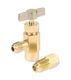 Aupoko R134A Self-Sealing Can Tap with Tank Adapter, 1/2 inch, Gold 