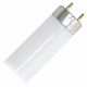 (Case of 36) GE 66469 - F32T8/25W/SPP50/ECO 25-Watt 5000K T8 Linear Fluorescent