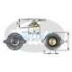 Fits Chrysler Nissan Fiat Saab + Other Models Ruva Radiator Cap