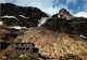 05-PARC NATIONAL DU PELVOUX-N�1001-E/0179