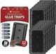 Pet Safe and Non-Toxic 12 Pack Sticky Traps - Superior Indoor Pest Management