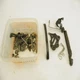 Honda CBR 1000 RR SC59 Ez : 16 Screws & Bits and Pieces Motor 15053