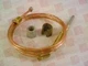 BASO GAS PRODUCTS LLC K16BT-36 / K16BT36 (NEW IN BOX)