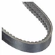 Continental 2/Bx54 2/Bx54 Banded Cogged V-Belt, 57" Outside Length, 1-21/64"