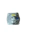 MAXITROL Model # RV48L Gas Pressure Regulator 1/2&rdquo; NPT 1/2 PSIG