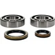All Balls Crankshaft Bearing & Seal Kit #24-1129 Beta EVO 300/EVO 250
