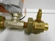 Belimo TFRB24-SR Actuator 24  VAC/DC 1/2" Valve WITH NEXUS 600 WOG VALVE
