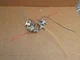 Thermador Cooktop Gas Valve Set for Model # SGS365ZS/01