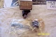 CLUTCH MASTER CYLINDER REBUILD KIT  30610 N6025 FITS  NISSAN B210 710 620 330