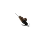 Lochinvar 100110719 1 in. MxF 150# 2.155mBTU T&P 4 in. Elm