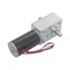 DC12V 24V 5840-31ZYS Dual Shaft Large Torque Metal Gearbox Turbo Worm Gear Motor