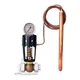 SPENCE 2010TD-GQD Dir. Acting Temp. Reg.,3/4 In,90 psi 1RXL6