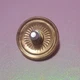 WATTS Illinois Trap Diaphragm 0036853. ISPTMSTDIA 1G-3GH-RK. 36853