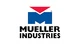 Mueller Industries A17937 5/8 Magnetic Check Valve