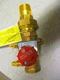Circuit Setter Valve | BELL & GOSSETT 117411LF | 3/4" FNPT x 3/4" MNPT Union 