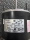 F48Y42A01 Century Motors