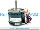 OEM Lennox Armstrong Ducane 115v BLOWER MOTOR Replaces 59M50 59M5001