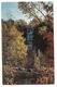 CHITTENANGO FALLS Water Autumn Fall Trout Fishing Syracuse New York Postcard NY 