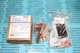 Sporlan HXCAE Expansion Valve 1-1/2-4Tons R410A 3/8 x 1/2 ODF 044437-07 New