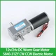 12v 24v DC Worm Gear Motor 5840-31ZY Double Output Shaft Adjustable Speed