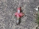 Bell & Gossett SA 1-1/4" FAS Flo Control Valve