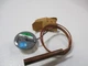 SPORLAN OVE30CP100 NSNP
