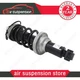 Rear Suspension Shock Strut w/Magnetic Fit Audi R8 Lamborghini Huracan 2016-2021