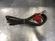REGO 597 FB2 250 Psi Gas-Regulator , w/ Hose