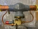 Sporlan 901625 / SORIT-20-0/100 - Evaporator Pressure Regulating Valve (NEW)