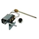 Rheem Sp8260 Replacement Thermostat, Electric, For 6E769, 6E770