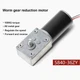5840-36ZY100KG DC 12V/24V Worm Metal Gear Reduction Motor Self Lock Large Torque