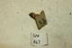 Carrier Bryant HH12ZB250 Furnace Limit Switch L250F-40 1NT23L-3651