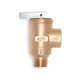 APOLLO 1740203 Safety Relief Valve,3/4 In,125 psi PK 4