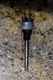 Weil Mclain Flu Temperature Sensor for Ultra Gas Boilers, 383-500-055