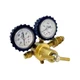 CPS Products BRRN1 Pro-Set Nitrogen Regulator 0-400 PSI