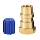 Aupoko A/C Retrofit Valve with Dust Cap, R12 R22 to R134A Fast Quick 1 Inch 