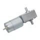 12V 24V 5840-555S Dual Shaft Turbo Worm Speed Reduction Gear Motor with Gearbox