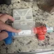 OEM Whirlpool Washer  Water Inlet Valve Assembly W11101906 W11210463 W10869799