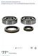 All Balls Racing 24-1129 Crankshaft Bearing & Seal Kit , Brand New ..