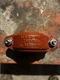 Victaulic Style 750 Reducing Coupling 2-1/2" x 2" for Grooved Pipe & Fittings