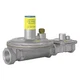 Maxitrol 325-5L48-66-Ng01 Gas Pressure Regulator, Natural Gas, -40 Degrees  To