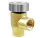 Upgraded RV Vacuum Breaker Check Valve Fit for 1/2 LF288A Watts 288A Anti-Siphon