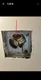 Supco SM550P2 Ventilator Motor W/ Fan