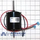 NBK-20269K MOTOR. 12VDC, 2250 RPM KIT-BOXED