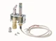 1PC Robertshaw 1820-019 PG9 Pilot Generator Replacement Kit