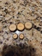 GOODMAN SVCK01 SERVICE VALVE CAP KIT AMANA-GOODMAN