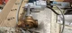 BELIMO G240B-N + Trane ACT00882 Actuator