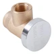 Watts 3/4 bachsiphonage protection LF288A Brass Vacuum Breaker